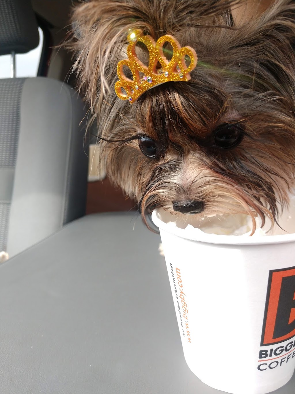 BIGGBY COFFEE | 2220 Union Lake Rd, Commerce Charter Twp, MI 48382, USA | Phone: (248) 301-5113