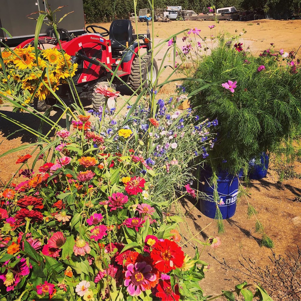 Red Maple Ranch Flower Farm | 2867 Reed Rd, Yuba City, CA 95993, USA | Phone: (530) 218-7980