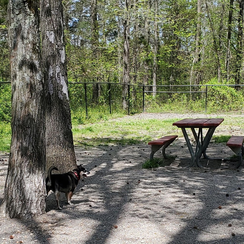 Grist Mill Dog Park | 4710 Mount Vernon Memorial Hwy, Alexandria, VA 22309 | Phone: (703) 324-7329