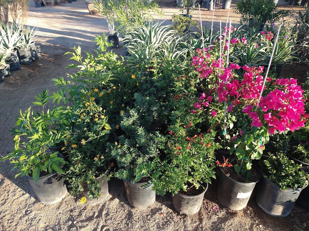 Espinozas Landscaping | 10756 E Adamsville Rd, Florence, AZ 85132, USA | Phone: (520) 251-1498