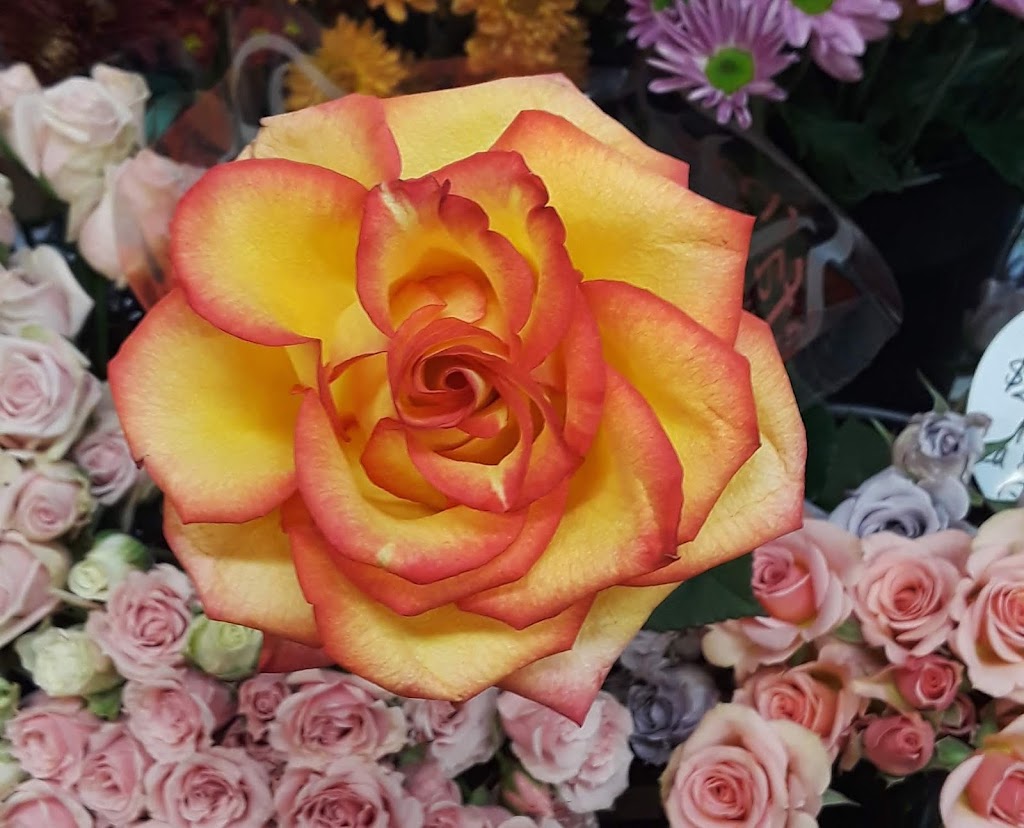 Cactus Flower Florists | 4700 N Central Ave, Phoenix, AZ 85012, USA | Phone: (602) 212-9988