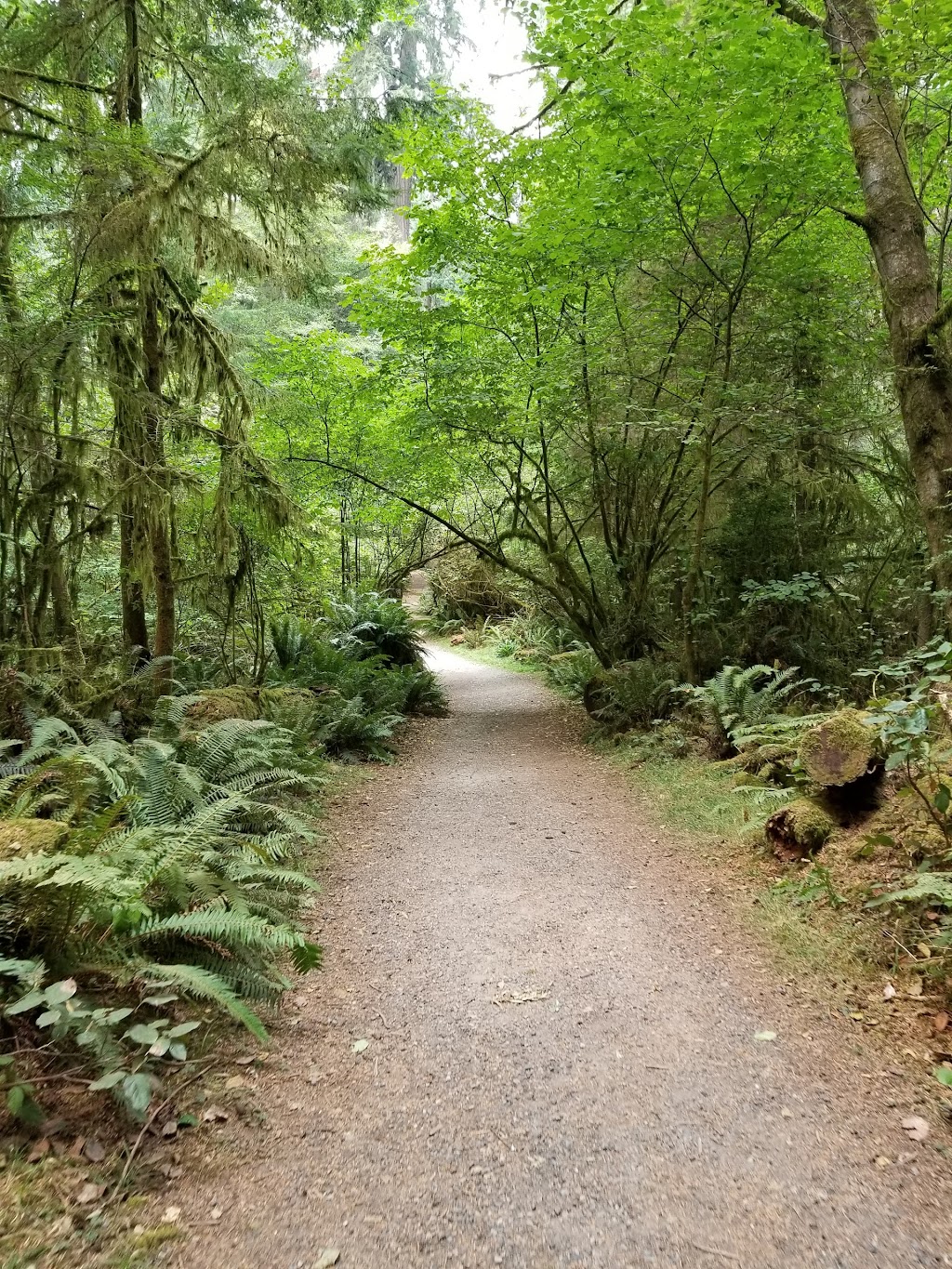 Gig Harbor Viewpoint | Tacoma, WA 98407, USA | Phone: (253) 305-1010