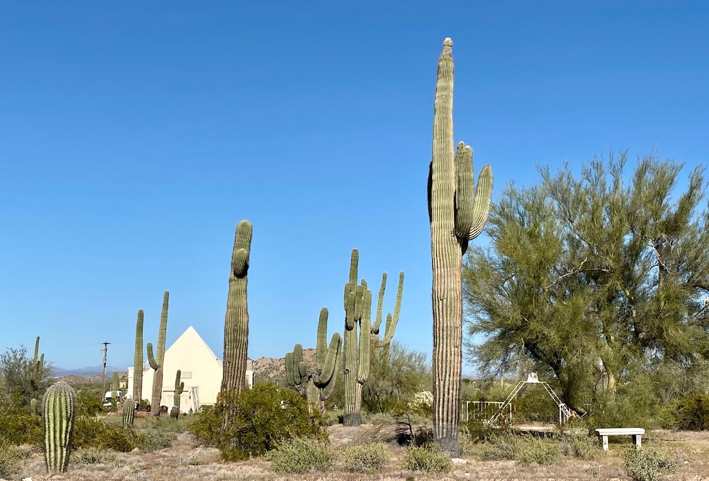 Pinal County Park West | Maricopa, AZ 85139, USA | Phone: (520) 866-6355