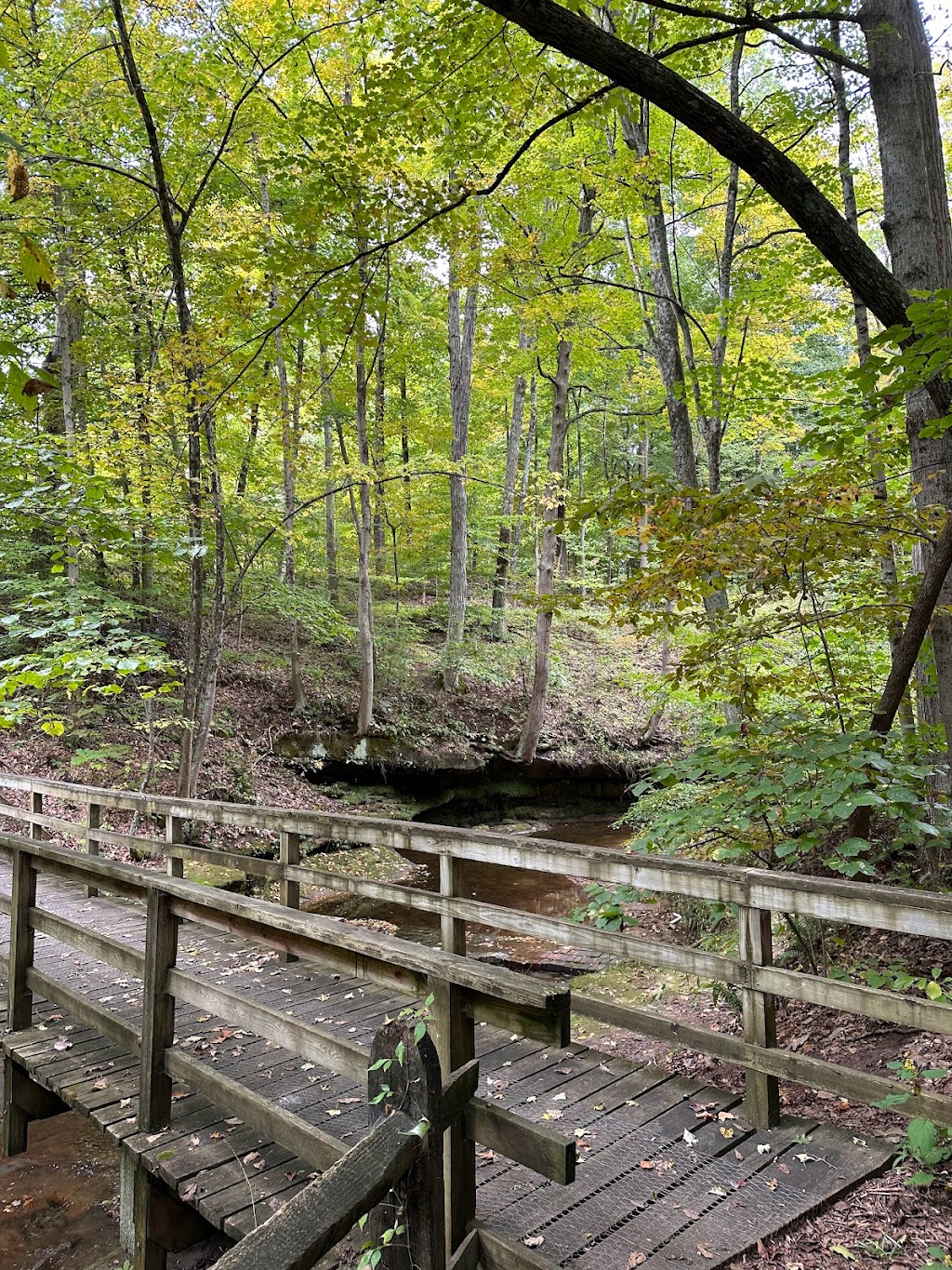 Fleming Falls Preserve | 2276 Fleming Falls Rd, Mansfield, OH 44903, USA | Phone: (419) 884-3764