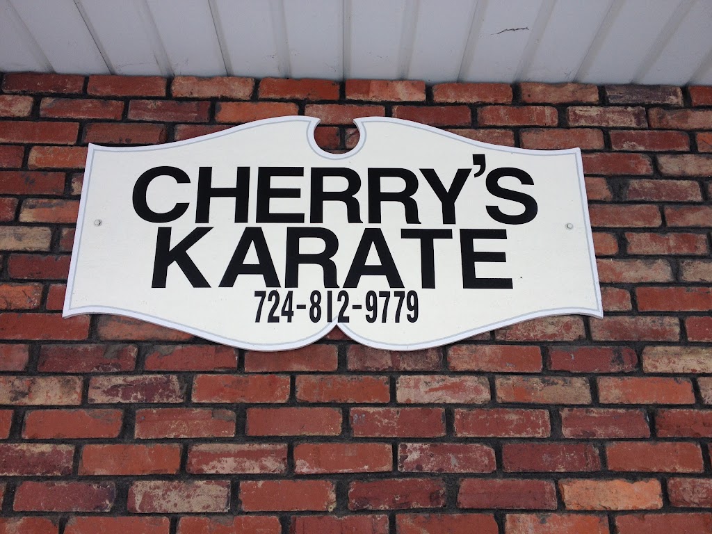 Cherrys Karate | 62 Lebanon Ave, Uniontown, PA 15401, USA | Phone: (724) 812-9779
