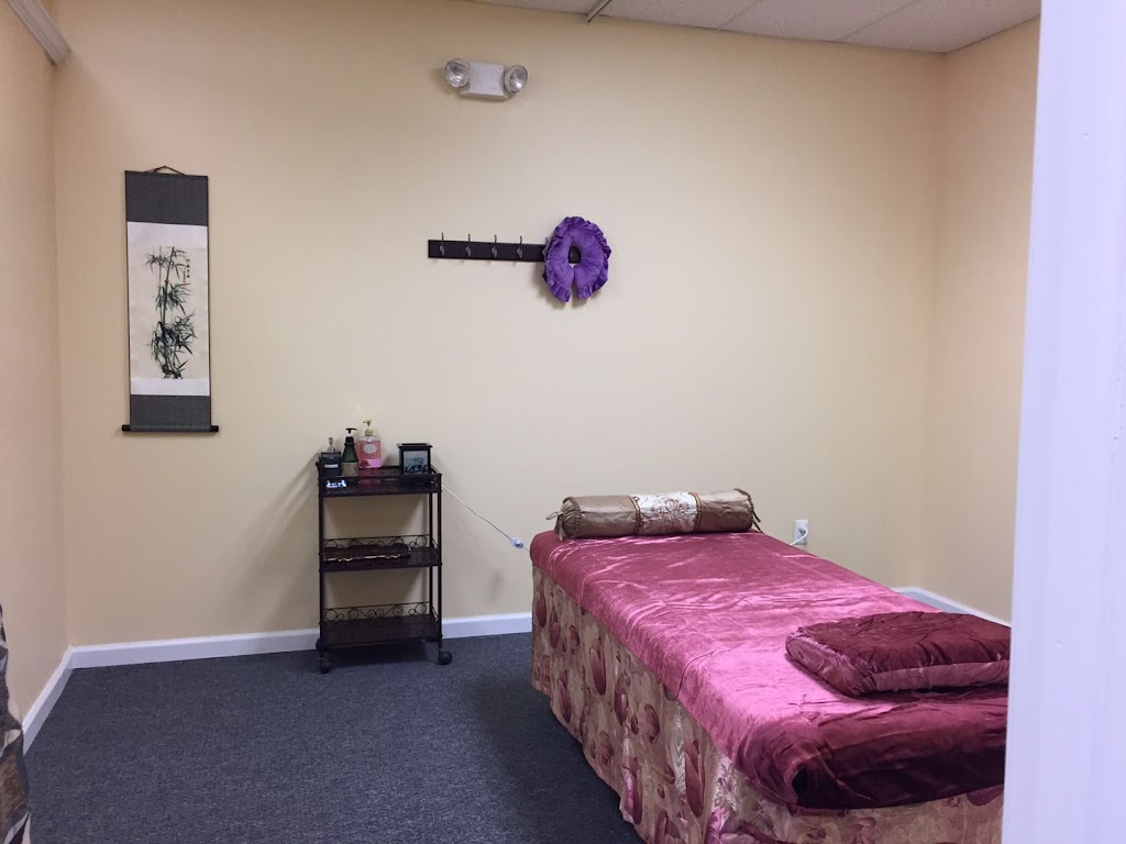 TuiNa Massage & Health Center | 286 Route 206 unit C2, Flanders, NJ 07836, USA | Phone: (973) 598-8888