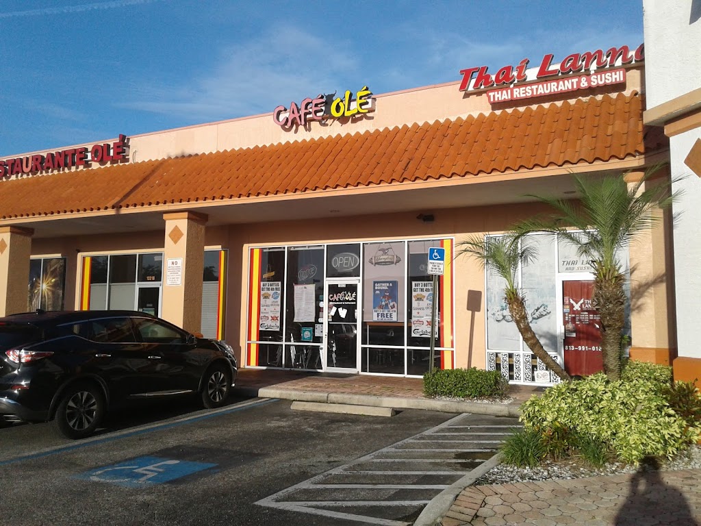 Thai Lanna & Sushi Bar | 10022 Cross Creek Blvd, Tampa, FL 33647, USA | Phone: (813) 991-0108