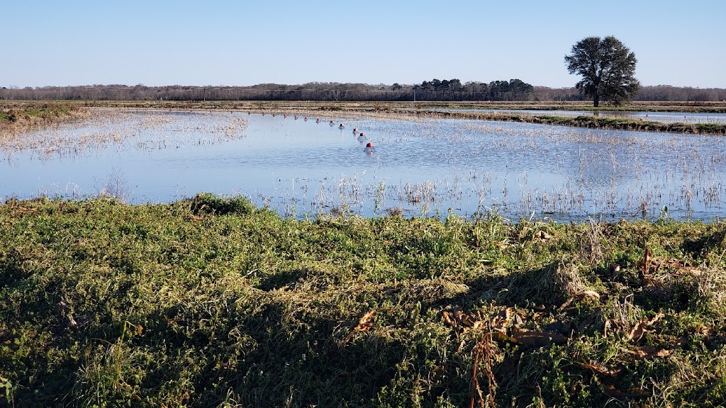 YOUR Crawfish Connection | 4208 Augusta Ct, Flower Mound, TX 75028, USA | Phone: (214) 587-6700