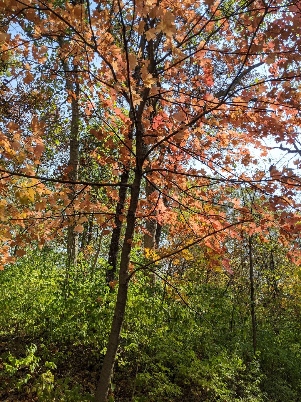 Swope Park Mountain Bike Trail | 6599 5601 Oakwood Rd, Kansas City, MO 64132, USA | Phone: (816) 513-7500