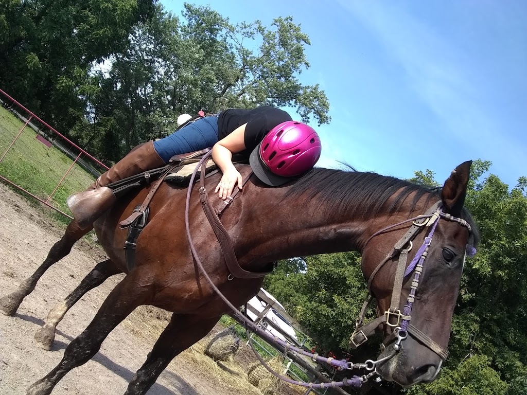 Niagara Riding Stables | 471 Warner Rd, Niagara-on-the-Lake, ON L0S 1J0, Canada | Phone: (905) 262-5101