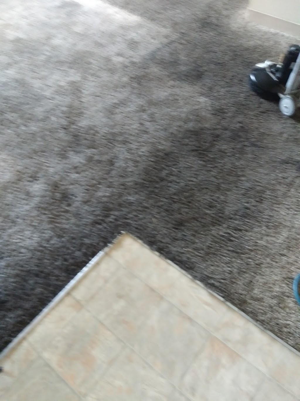 Elevation Carpet Cleaning | 4177, 7000 E 58th Ave #8, Commerce City, CO 80022 | Phone: (720) 371-6724