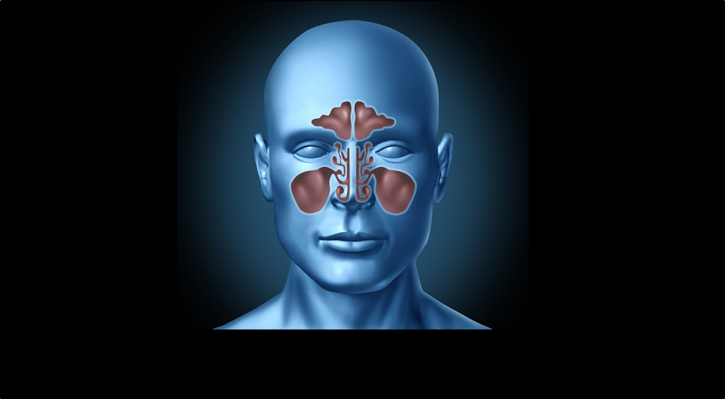 Houston Advanced Nose & Sinus | 9303 Pinecroft Dr Suite 390, The Woodlands, TX 77380, USA | Phone: (832) 720-6673