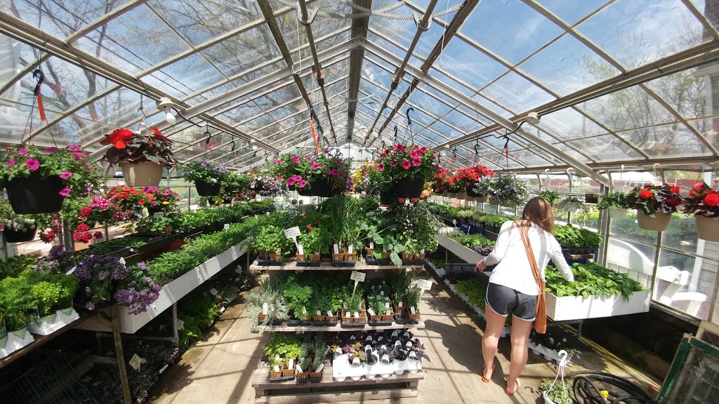 Cavotta Garden Center | 19603 Nottingham Rd, Cleveland, OH 44110, USA | Phone: (440) 897-1497