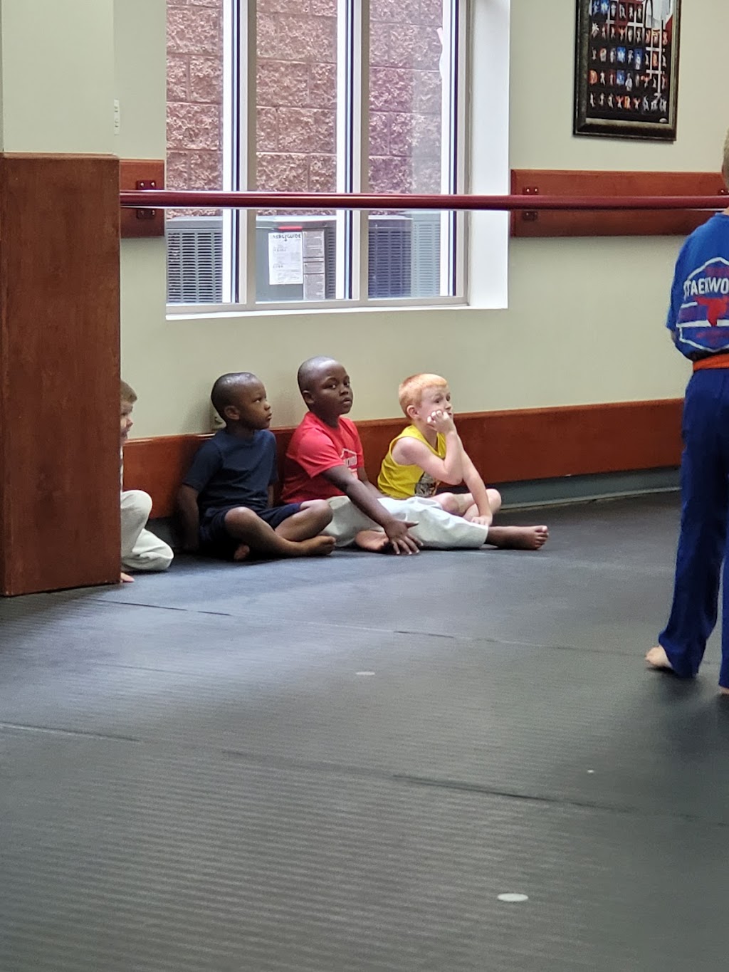 Pecks TaeKwonDo America | 8001 Creedmoor Rd, Raleigh, NC 27613, USA | Phone: (919) 846-6578