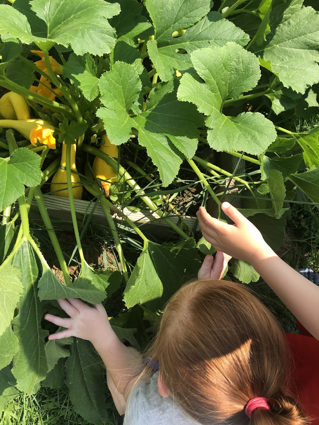 Innovation & Exploration STEM Early Learning Center | 978 Valley Rd, Warrington, PA 18976, USA | Phone: (215) 201-0458