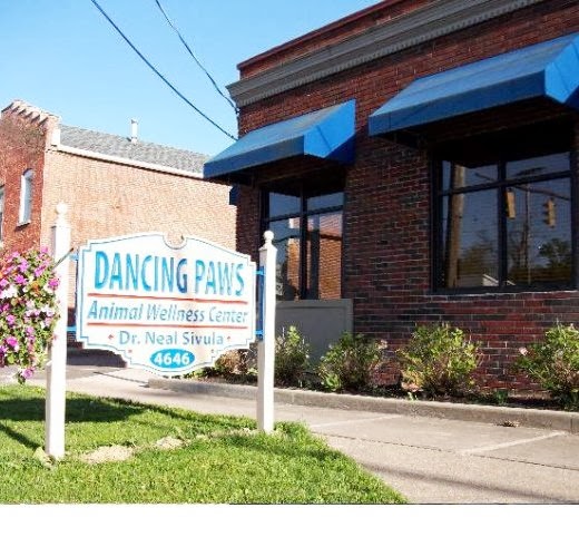 Dancing Paws Animal Wellness Center | 4646 W Streetsboro Rd, Richfield, OH 44286, USA | Phone: (330) 659-3441