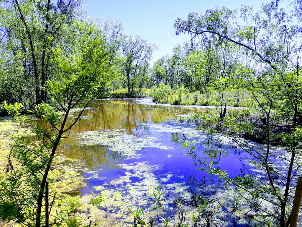 Sankofa Wetland Park and Nature Trail | 6401 Florida Ave, New Orleans, LA 70117, USA | Phone: (504) 872-9214