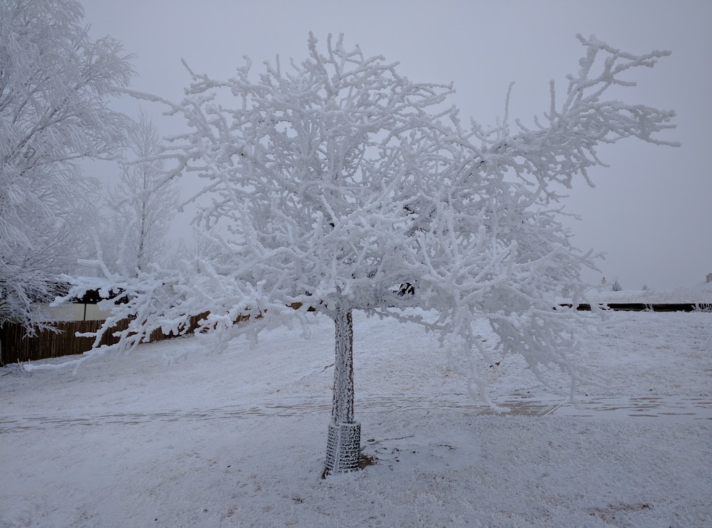 Lulu Pollard Park | 2550 Dynamic Dr, Colorado Springs, CO 80920, USA | Phone: (719) 385-5940