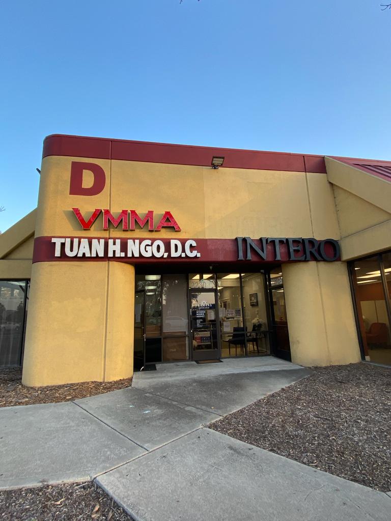 Vietnamese Mixed Martial Arts | 2282 Quimby Rd, San Jose, CA 95122, USA | Phone: (408) 238-1895