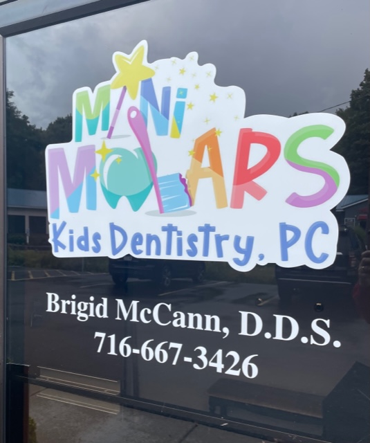 Mini Molars Kids Dentistry - Dr. Brigid McCann | 3725 N Buffalo St # E, Orchard Park, NY 14127, USA | Phone: (716) 667-3426