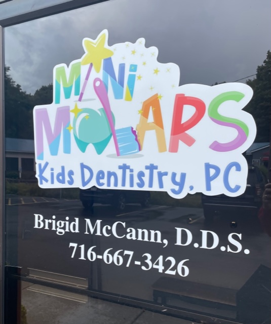 Mini Molars Kids Dentistry - Dr. Brigid McCann | 3725 N Buffalo St # E, Orchard Park, NY 14127 | Phone: (716) 667-3426