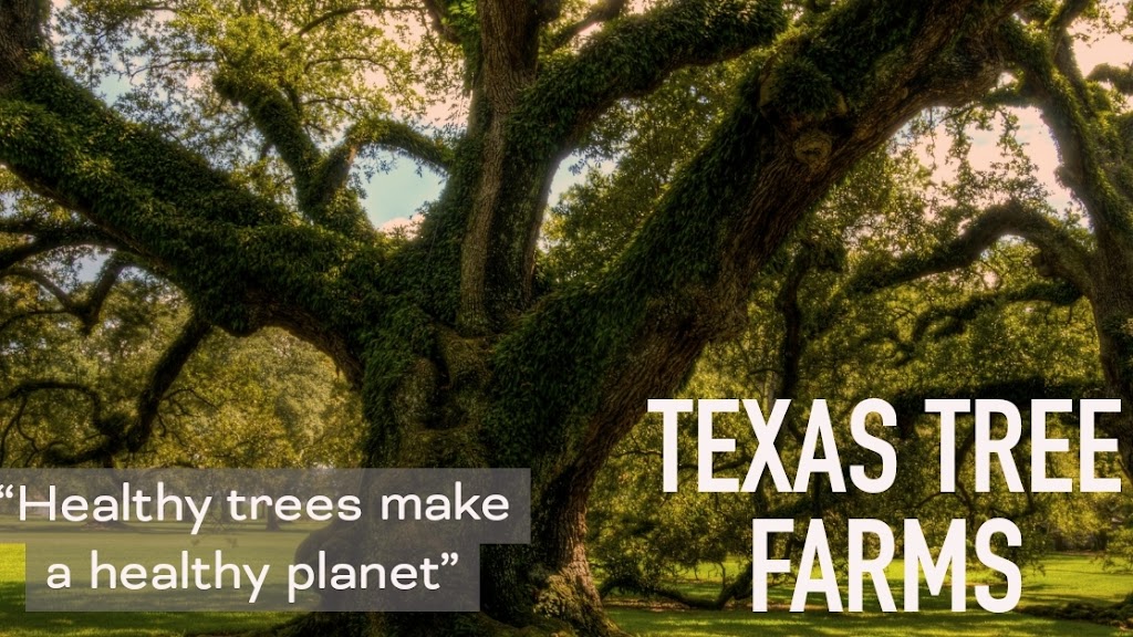 Texas Tree Farms, LLC | 3150 US-287, Waxahachie, TX 75165, USA | Phone: (214) 450-5105