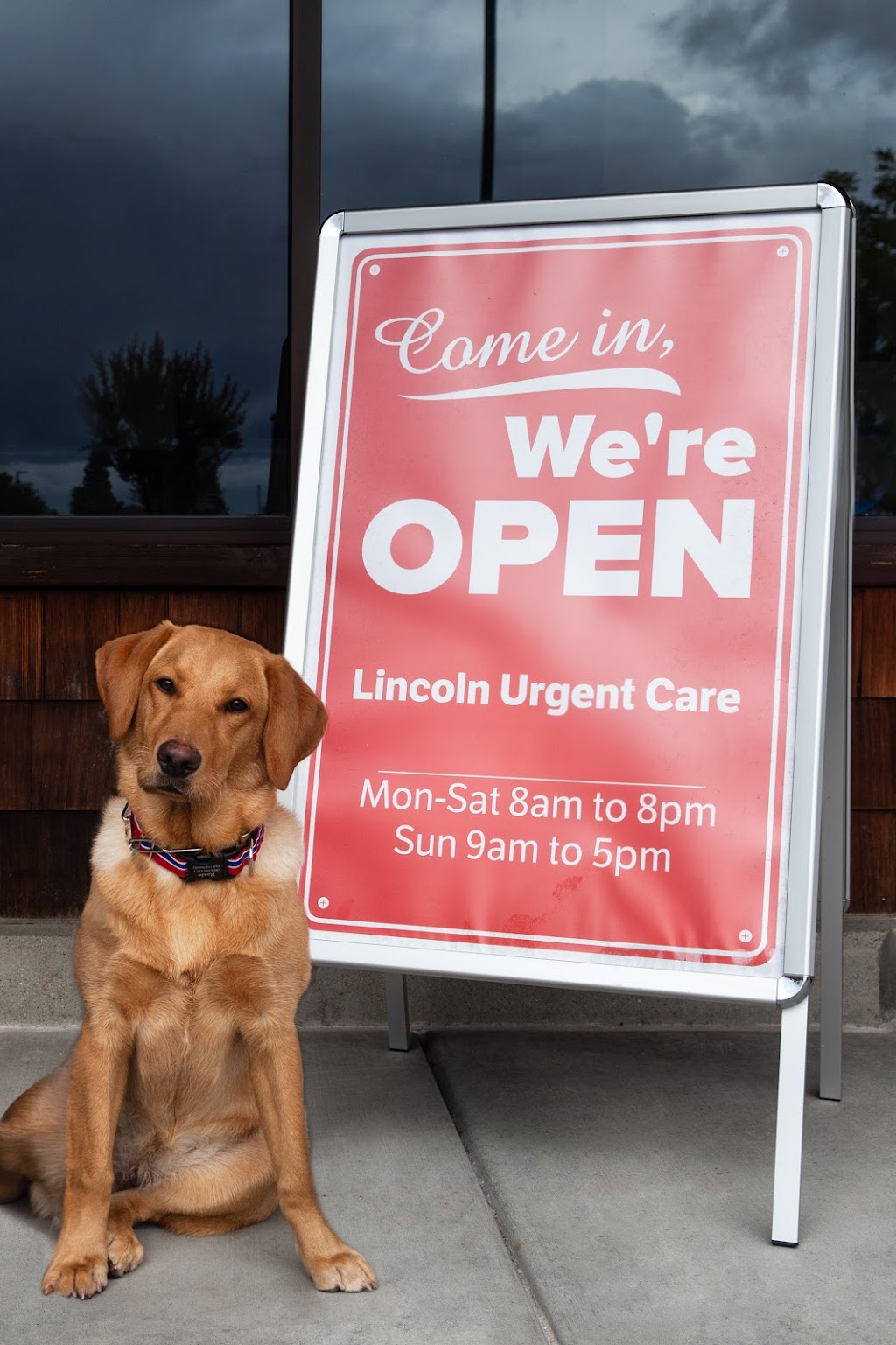 Lincoln Urgent Care | 77 Lincoln Blvd Suite 1, Lincoln, CA 95648, USA | Phone: (916) 258-2751