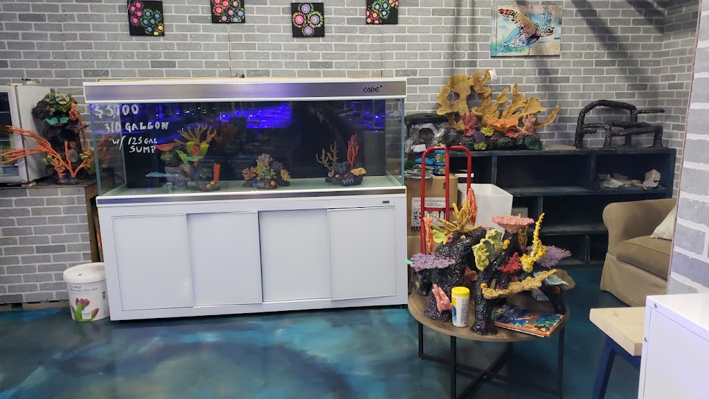 Ocean Reefs Den (ORD) Aquatics | 354 Country Club Dr, Bensenville, IL 60106, USA | Phone: (630) 422-7464