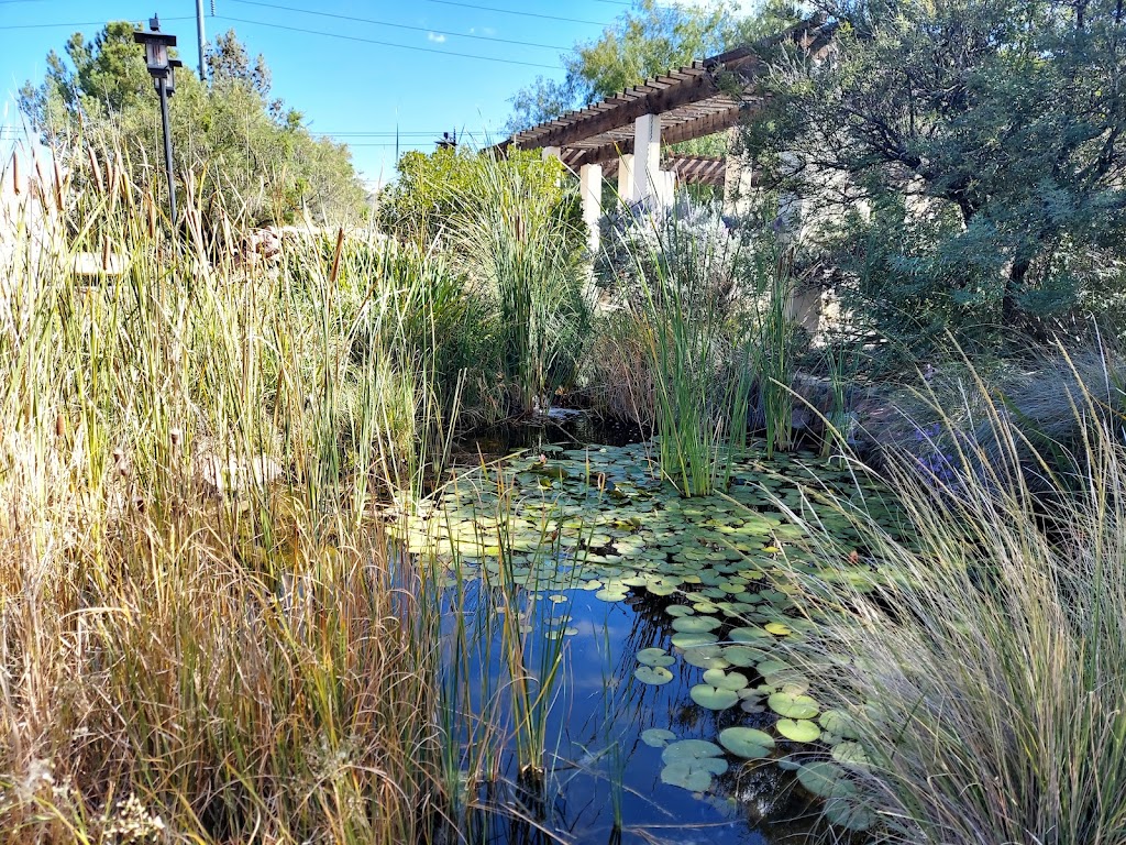 Keystone Heritage Park and the El Paso Desert Botanical Garden | 4200 Doniphan Dr, El Paso, TX 79912 | Phone: (915) 584-0563