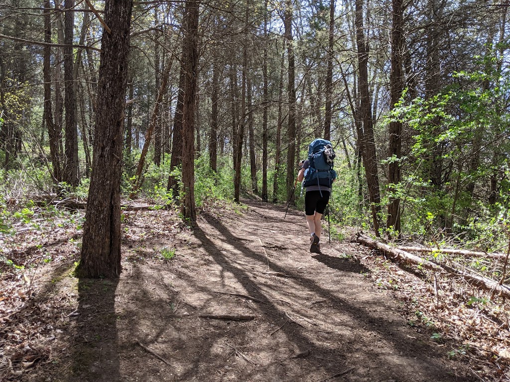 Silver Lake Recreation | 2 Crooked Lake Trail, Pinckney, MI 48169, USA | Phone: (734) 426-4913