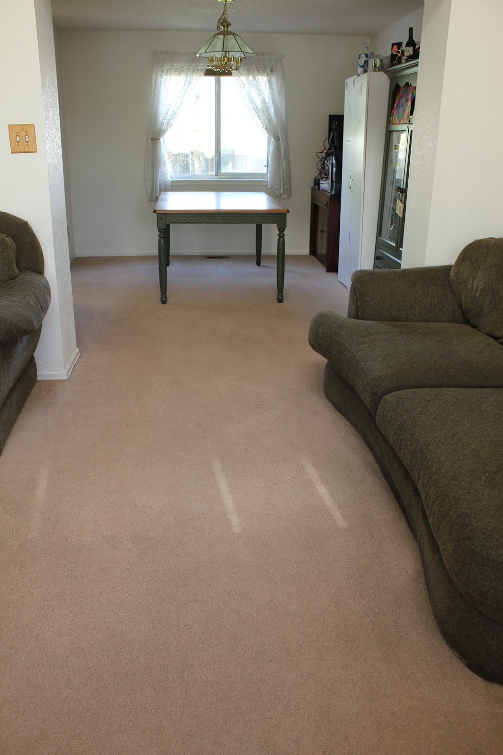 Pristine Carpet Cleaning | 12161 Bannock St unit a, Westminster, CO 80234, USA | Phone: (303) 993-6751