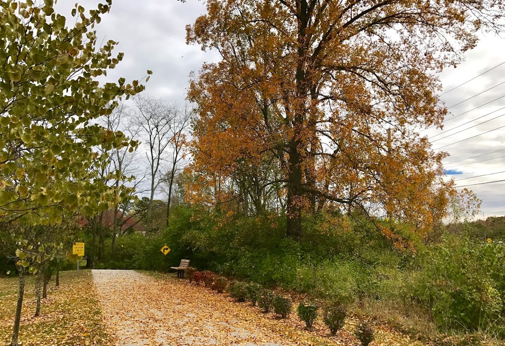 Western Greenway: Hamilton-Carr Trail | Unnamed Road 63038, Glencoe, MO 63038, USA | Phone: (636) 458-0440