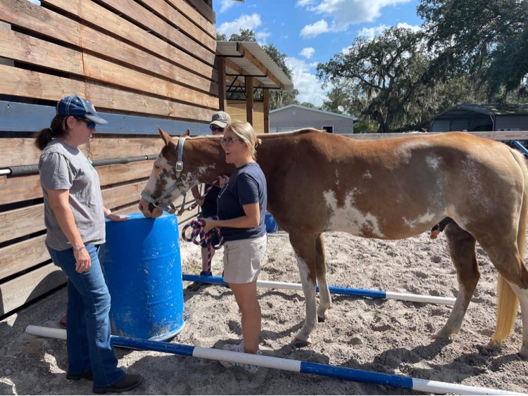 Thunders Run Ranch | Little Brown Church Rd, Pierson, FL 32180, USA | Phone: (904) 859-6415