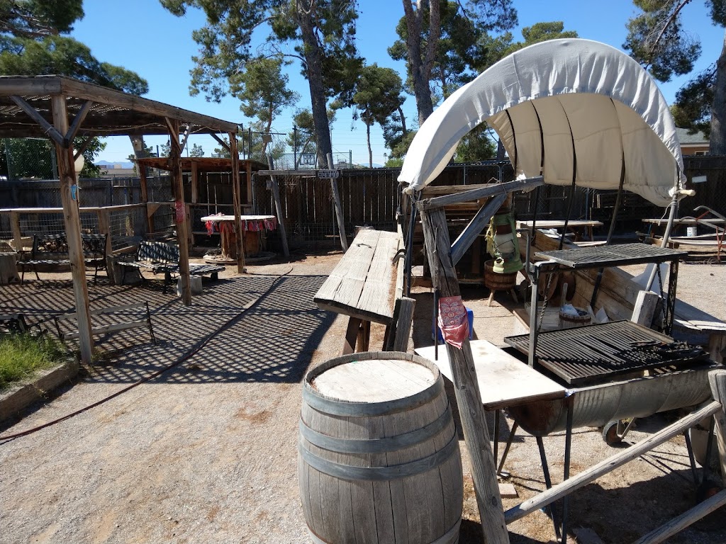 Jr Pony Parties | 1744 N Leonard Ln, Las Vegas, NV 89108, USA | Phone: (702) 631-4142