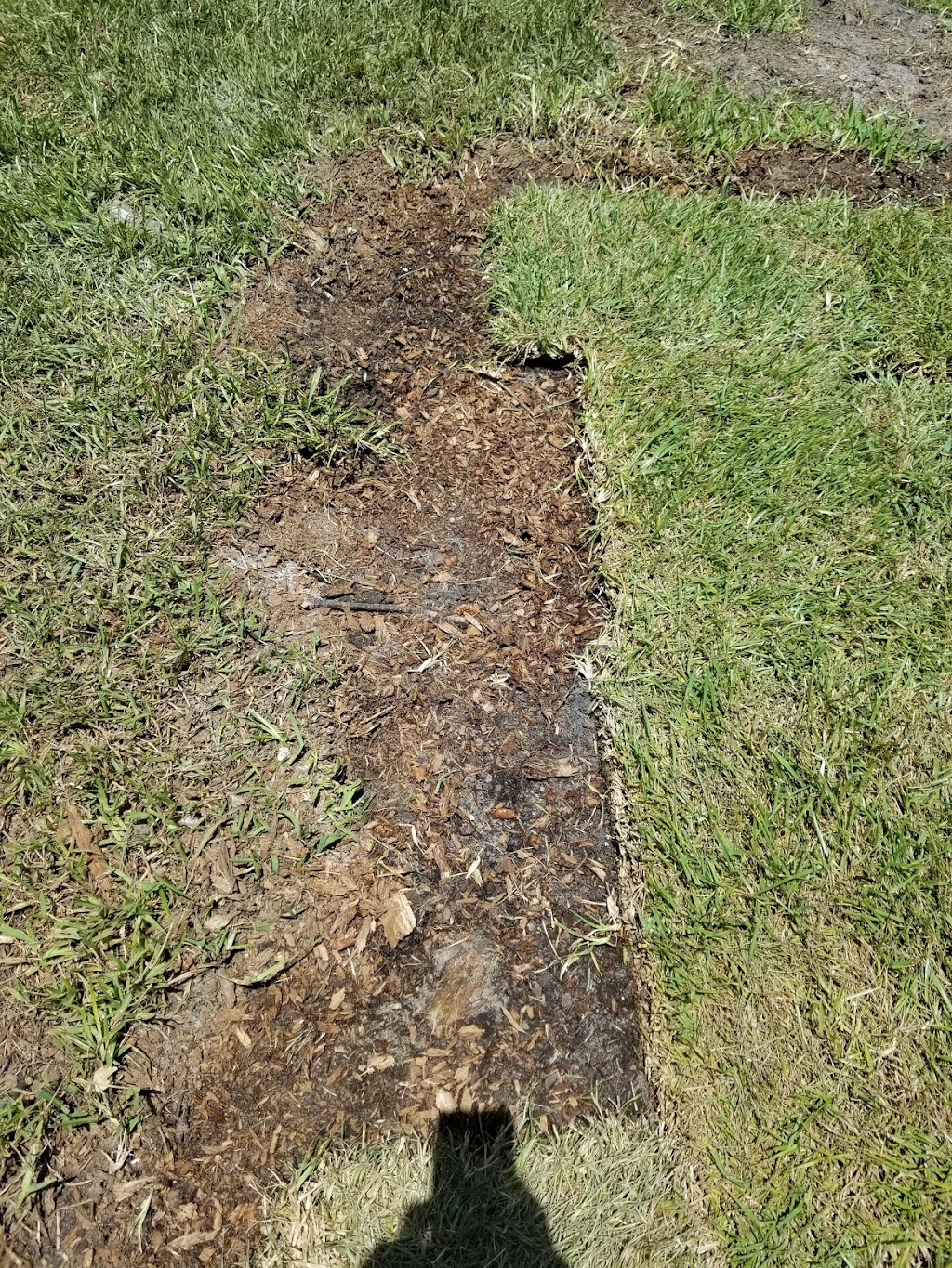 Calvert County Cultural Arts | 110 Solomons Island Rd S, Prince Frederick, MD 20678, USA | Phone: (410) 257-7005