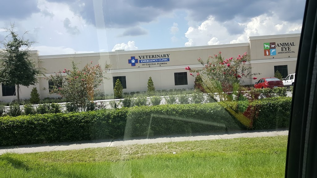 Veterinary Emergency Clinic of Central FL | 11011 Lake Underhill Rd, Orlando, FL 32825, USA | Phone: (407) 644-4449 ext. 2