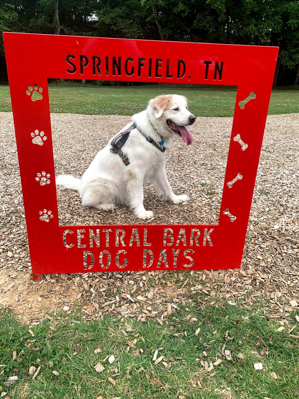 Central Bark Dog Park | 311 2nd Ave W, Springfield, TN 37172, USA | Phone: (615) 382-1655