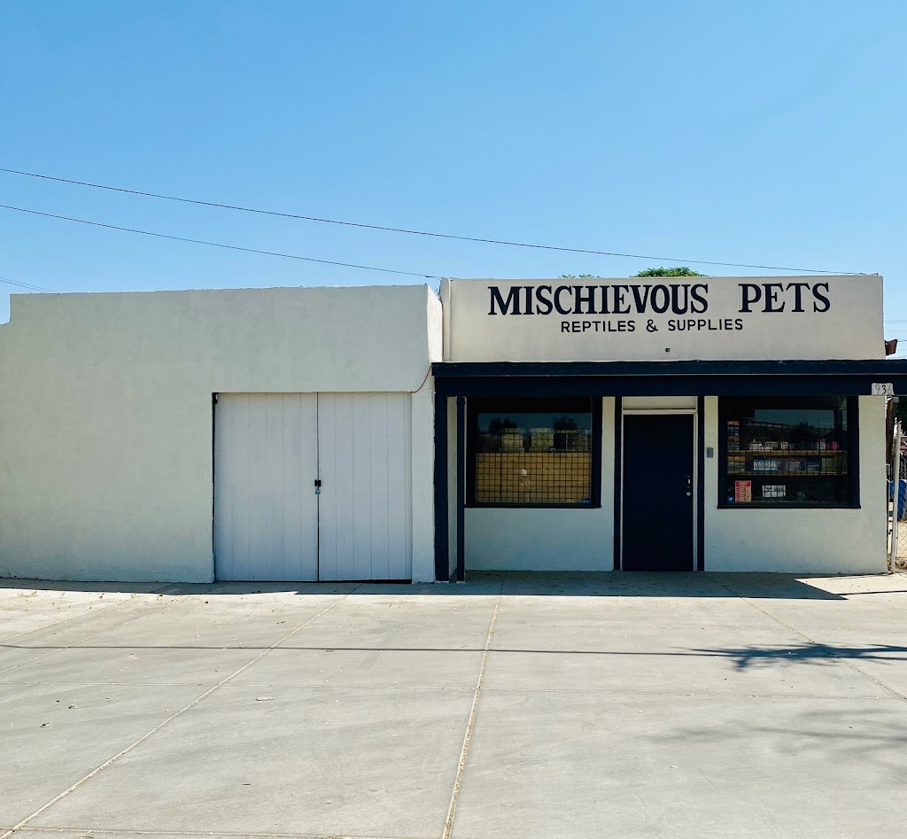 Mischievous Pets | 1936 High St., Delano, CA 93215, USA | Phone: (661) 428-7812