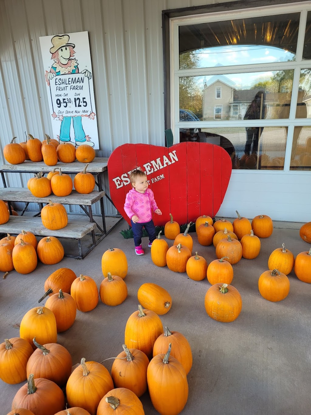 J & M Fruit Farm (Eshleman) | 753 E Maple St, Clyde, OH 43410, USA | Phone: (419) 547-9584