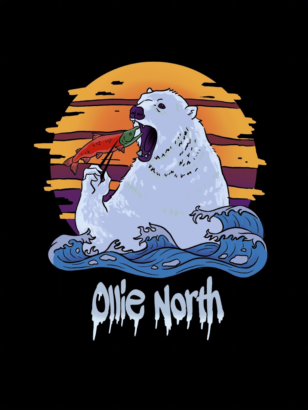 Ollie North Boardshop | 771 Wasair Dr, Wasilla, AK 99654, USA | Phone: (907) 346-7225