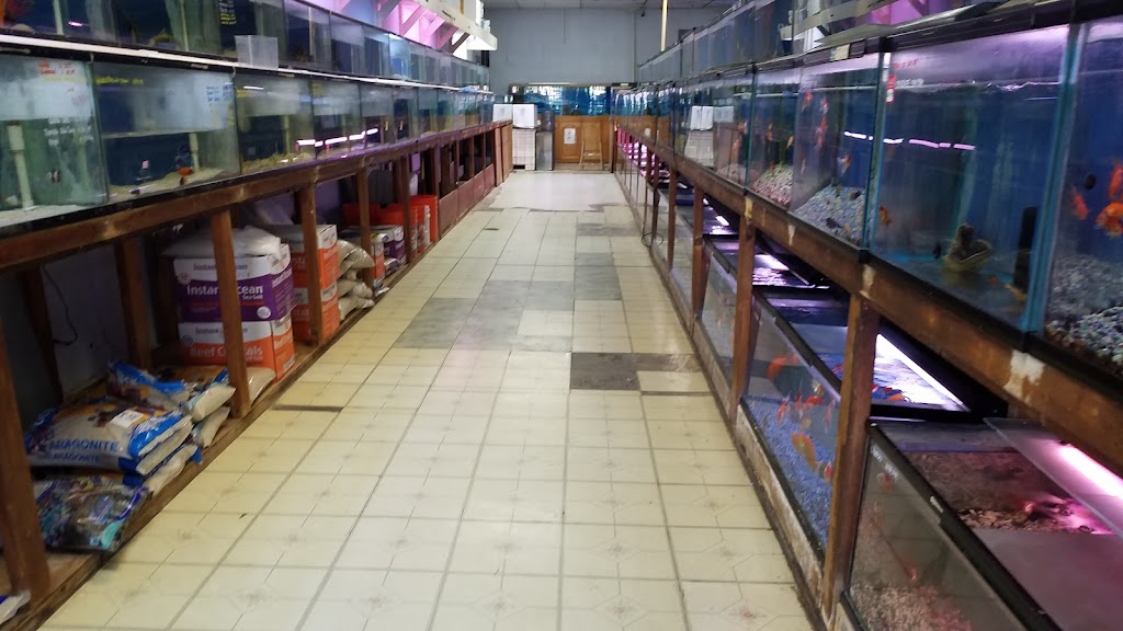 Tropical Fish Incorporated | 2982 E Colorado Blvd Learning Assistance Center, Pasadena, CA 91107, USA | Phone: (626) 449-4987