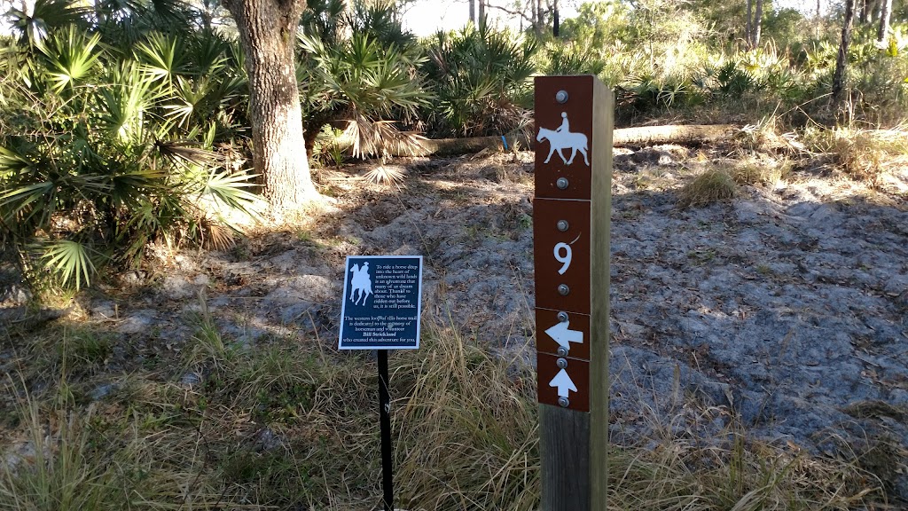 Myakka River State Park Trail Marker 9 | Sarasota, FL 34241, USA | Phone: (941) 361-6511