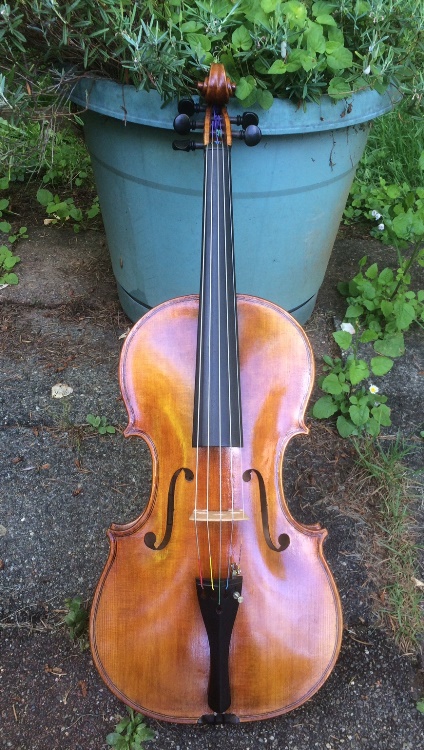 Five String Fiddles.com | 10879 NW Shearer Hill Rd, Forest Grove, OR 97116, USA | Phone: (503) 740-1155