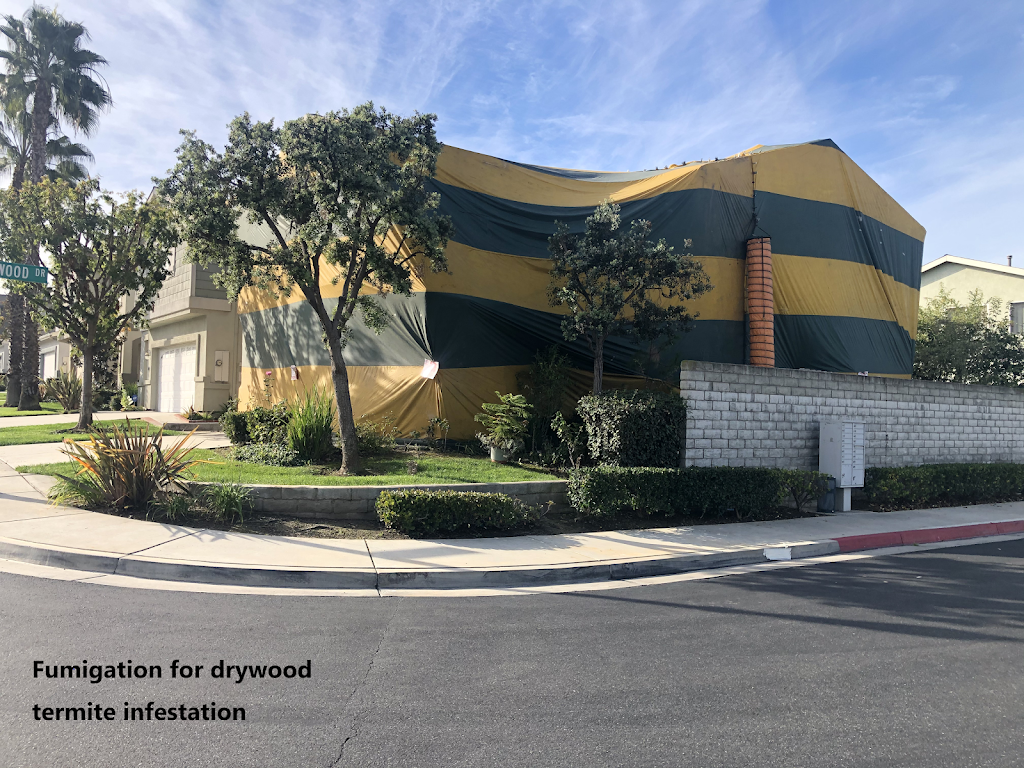 GNB Pest Control & Termite | 17420 Avalon Blvd, Carson, CA 90746 | Phone: (833) 562-1109