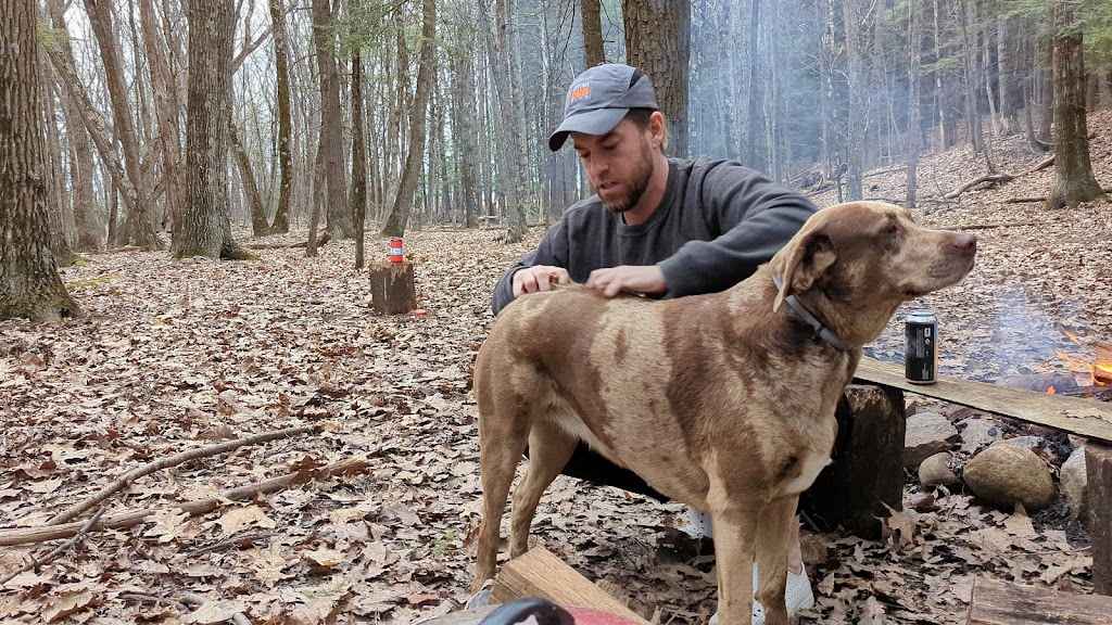 Magic Forest Farm | 134 Bucks Ranch Rd, Coeymans Hollow, NY 12046, USA | Phone: (518) 231-0347