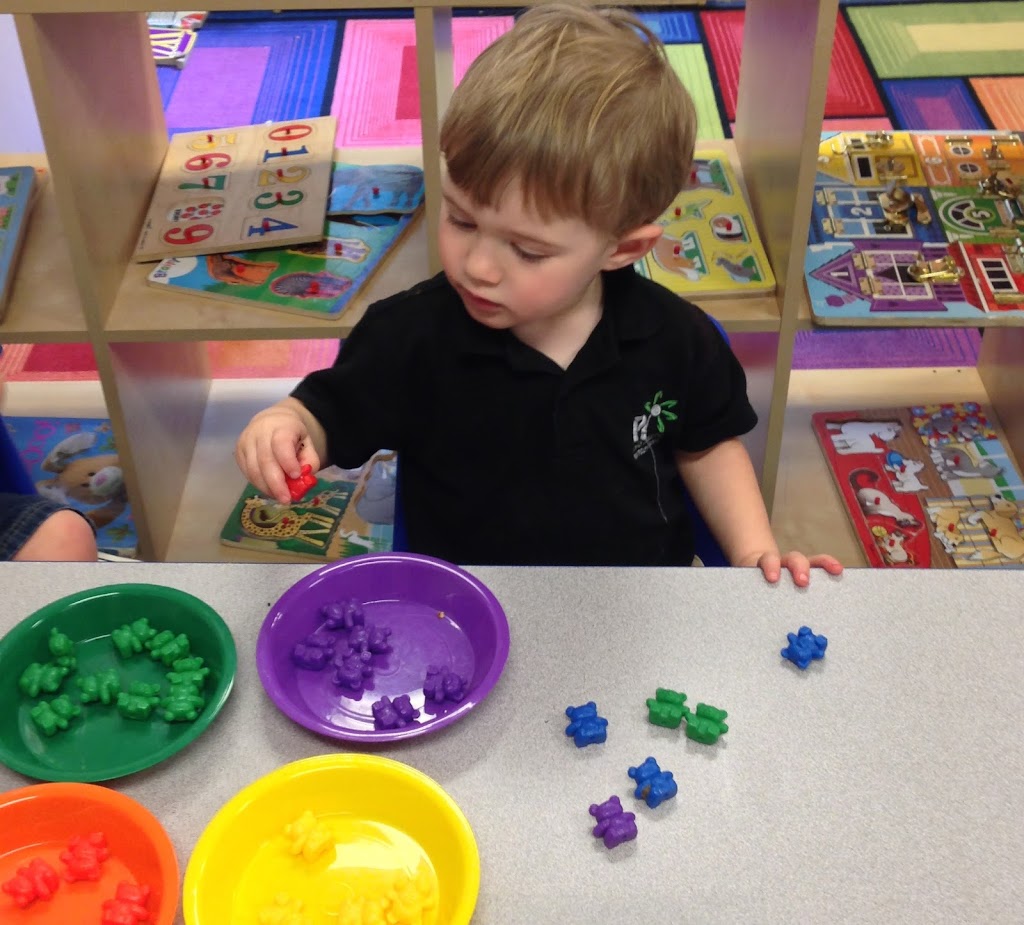 Pine Island Montessori | 5499 SW 82nd Ave, Davie, FL 33328, USA | Phone: (954) 434-6337