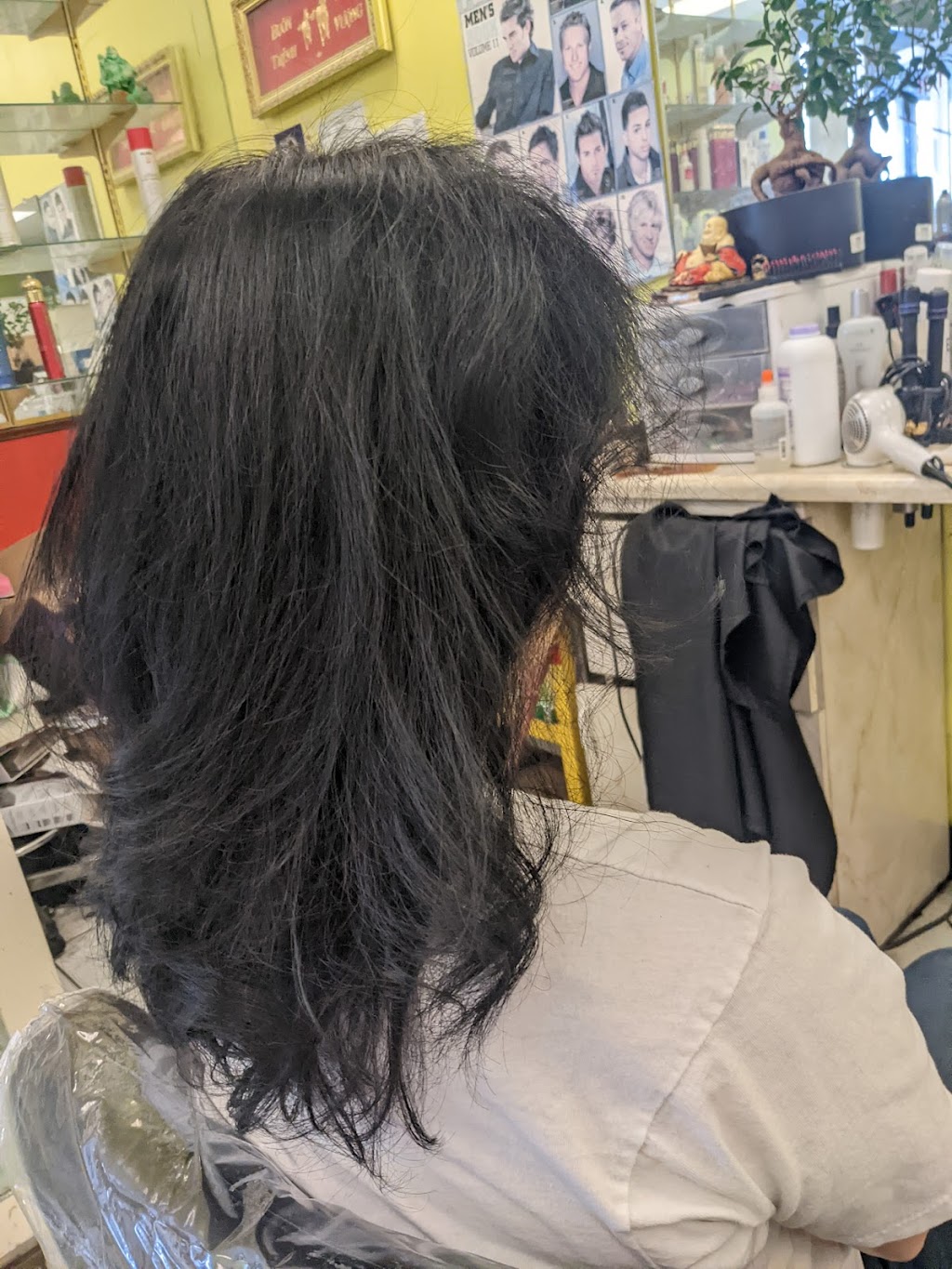 High Life Beauty Salon | 1611 Flickinger Ave, San Jose, CA 95131, USA | Phone: (408) 729-4921