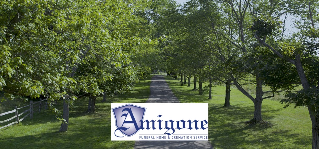 Amigone Funeral Home and Cremation Services | 1024 French Rd, Buffalo, NY 14227, USA | Phone: (716) 836-6500