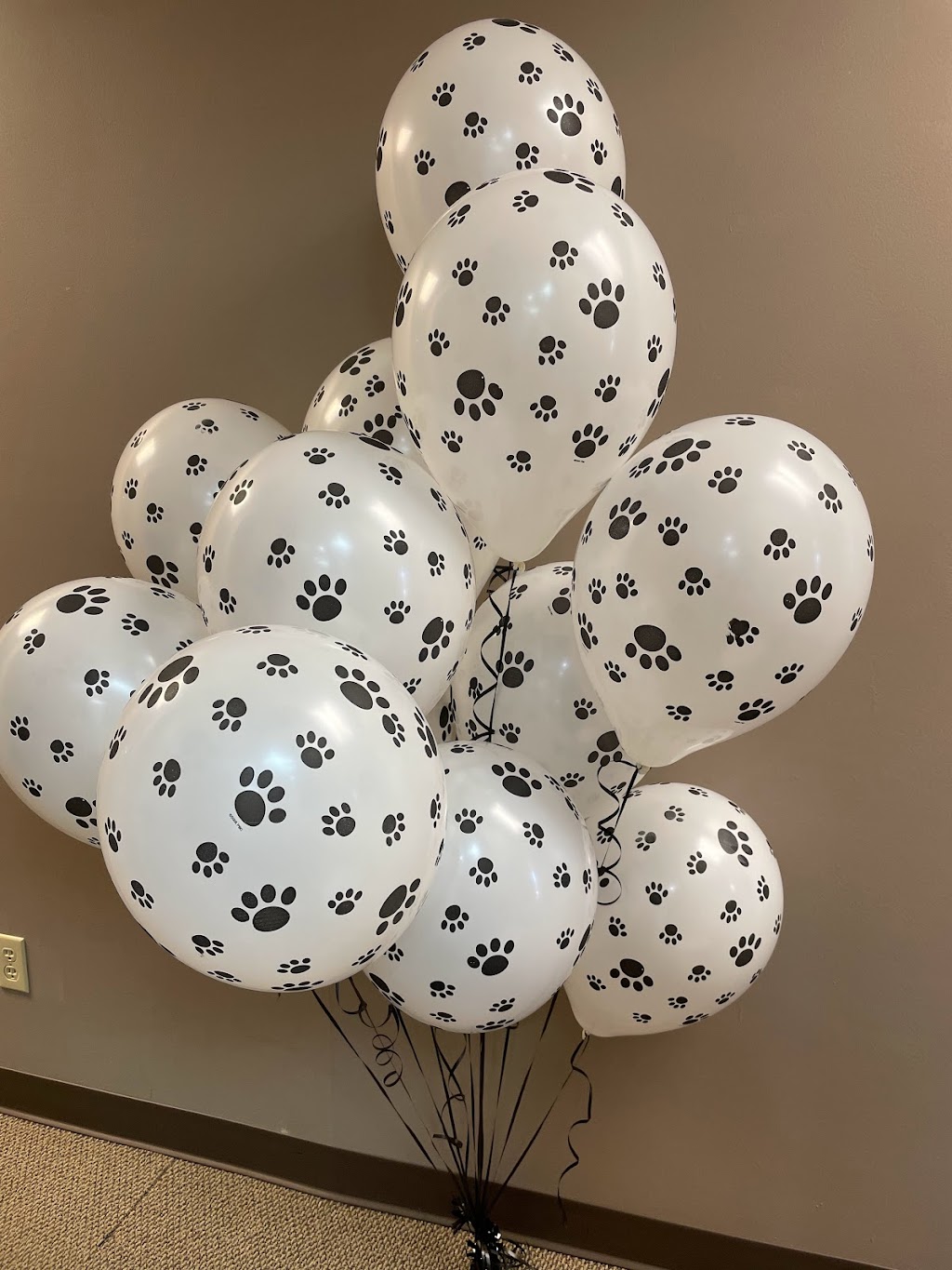 Inflate Balloons | 798 Village Square, Gretna, NE 68028 | Phone: (402) 906-2128