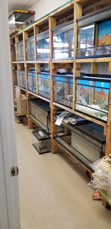 Wow Fish and Pet ( Aquarium ) | 15923 Bear Valley Rd #B130, Hesperia, CA 92345, USA | Phone: (760) 241-0132